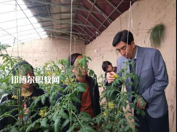甘肅省臨夏州職業(yè)技術(shù)學(xué)校2022年學(xué)費(fèi)、收費(fèi)多少