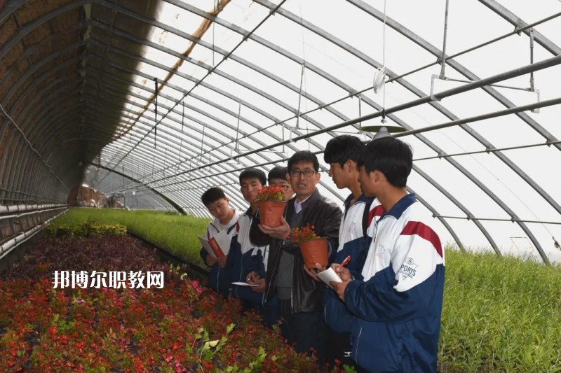 靖遠(yuǎn)職業(yè)教育中心2022年學(xué)費(fèi)、收費(fèi)多少
