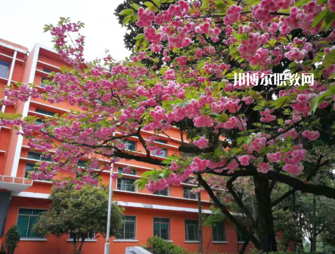 貴州特殊教育中等職業(yè)技術(shù)學校2022年學費、收費多少