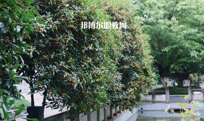 德陽通用電子科技學校怎么樣、好不好