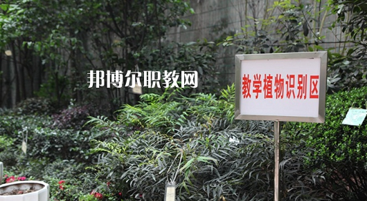 重慶風(fēng)景園林技工學(xué)校2022年學(xué)費、收費多少
