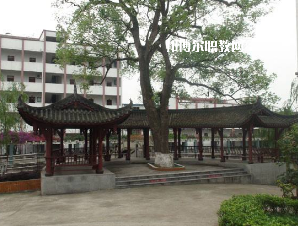 四川合江先市職業(yè)高級(jí)中學(xué)校怎么樣、好不好