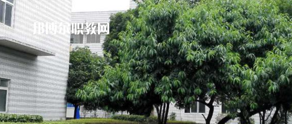 成都市中山職業(yè)技術(shù)學(xué)校2022年報(bào)名條件、招生要求、招生對(duì)象