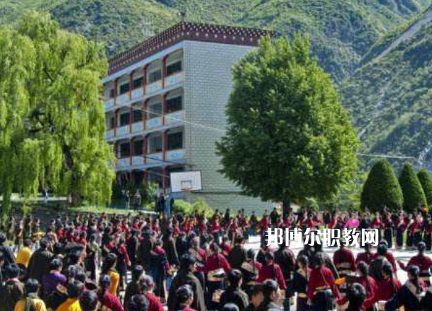 四川省藏文學(xué)校2022年報名條件、招生要求、招生對象