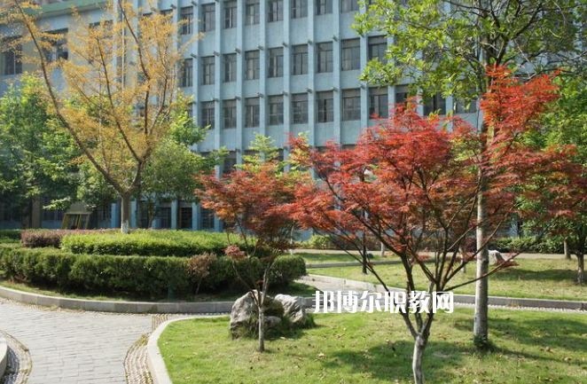 廉江市衛(wèi)生職業(yè)技術(shù)學(xué)校怎么樣、好不好