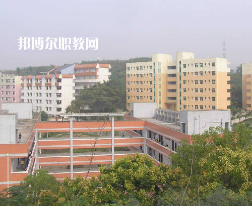 重慶貿易中等專業(yè)學校2022年招生辦聯(lián)系電話