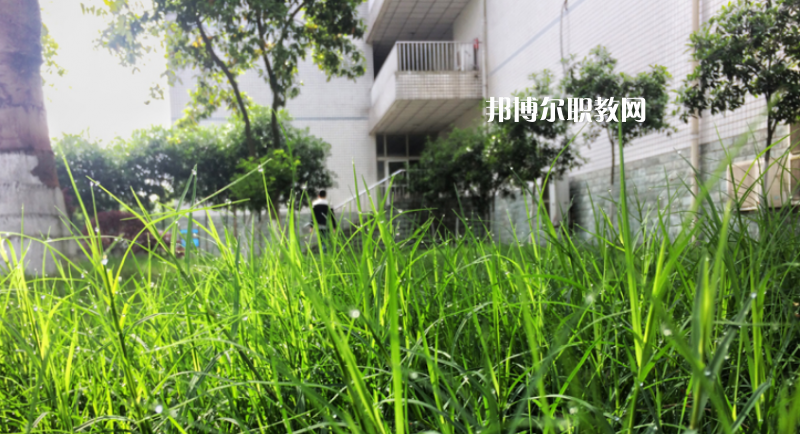 樂山計(jì)算機(jī)學(xué)校2022年學(xué)費(fèi)、收費(fèi)多少