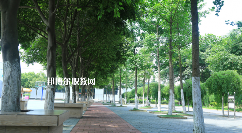 鎮(zhèn)雄縣職業(yè)高級(jí)中學(xué)2022年報(bào)名條件、招生要求、招生對(duì)象