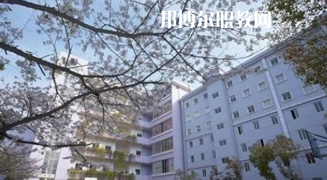 武漢體育舞蹈藝術(shù)學校2022年怎么樣、好不好