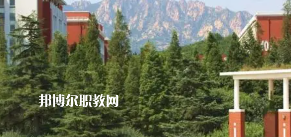 青島公辦大專學校排名2023最新排行