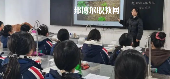 遂寧市船山職業(yè)技術學校2023年招生錄取分數線