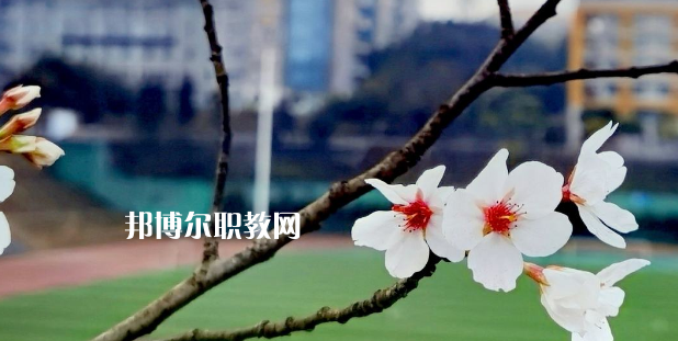 2023眉山技師學(xué)院招生計(jì)劃 招生人數(shù)是多少(附要求、條件、對(duì)象)
