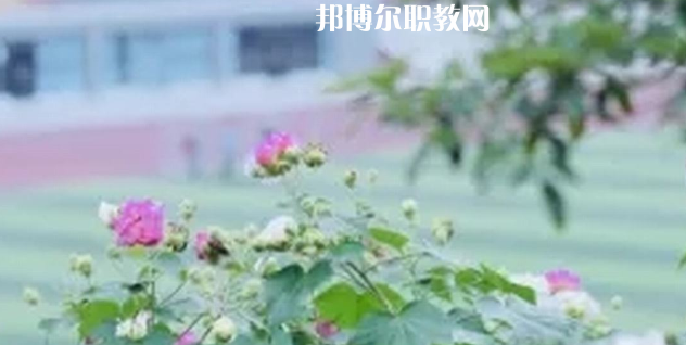 眉山技師學院地址在哪里，哪個地區(qū)，哪個城市?