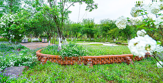 重慶望江技工學(xué)校地址在哪里，哪個(gè)地區(qū)，哪個(gè)城市?