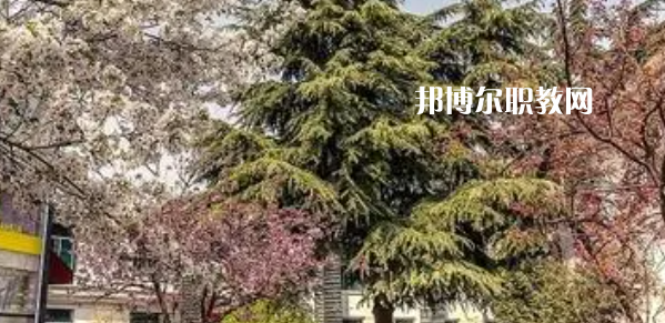 2023西安市明珠職業(yè)學(xué)校多少錢 西安市明珠職業(yè)學(xué)校各專業(yè)學(xué)費收費標準