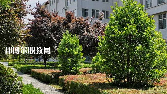 2023渭南技師學(xué)院招生計(jì)劃 招生人數(shù)是多少(附要求、條件、對(duì)象)