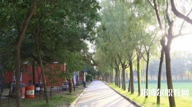 2023西安大中科技技工學(xué)校招生計(jì)劃 招生人數(shù)是多少(附要求、條件、對象)