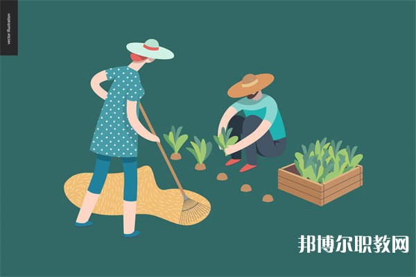 林州職業(yè)教育中心有哪些招生專(zhuān)業(yè)（2023年）