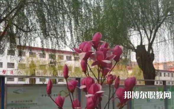 2023柏鄉(xiāng)縣職教中心招生計(jì)劃 招生人數(shù)是多少(附要求、條件、對(duì)象)
