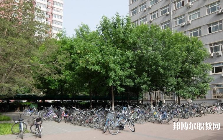 寶塔區(qū)職業(yè)教育中心2023年招生錄取分數(shù)線（2024參考）