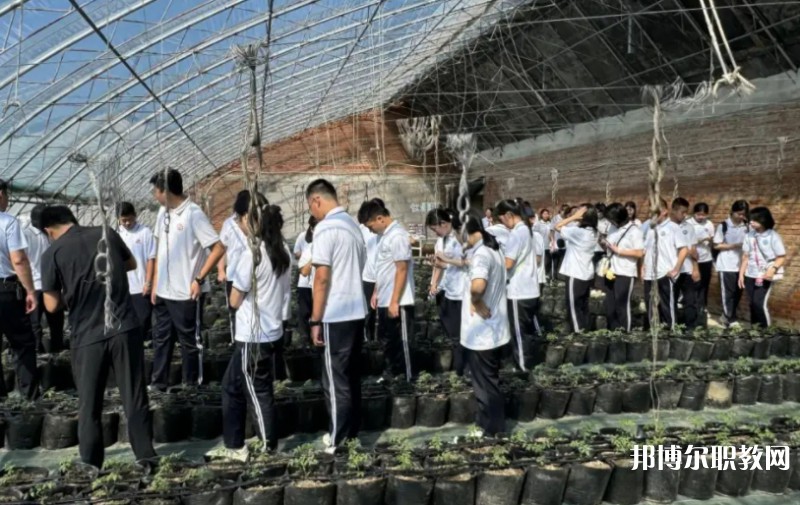 2024營口市農(nóng)業(yè)工程學(xué)校招生計劃 招生人數(shù)是多少(附要求、條件、對象)