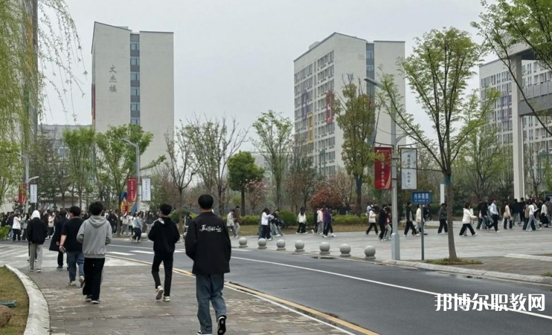 2025合肥技師學(xué)院招生計劃 招生人數(shù)是多少(附要求、條件、對象)