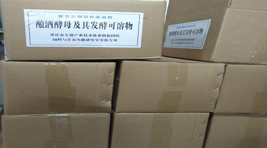重庆市生猪产业技术体系开展生物饲料推广工作