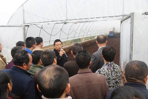 枝江市畜牧兽医局四举并措推广异位生物发酵床技术